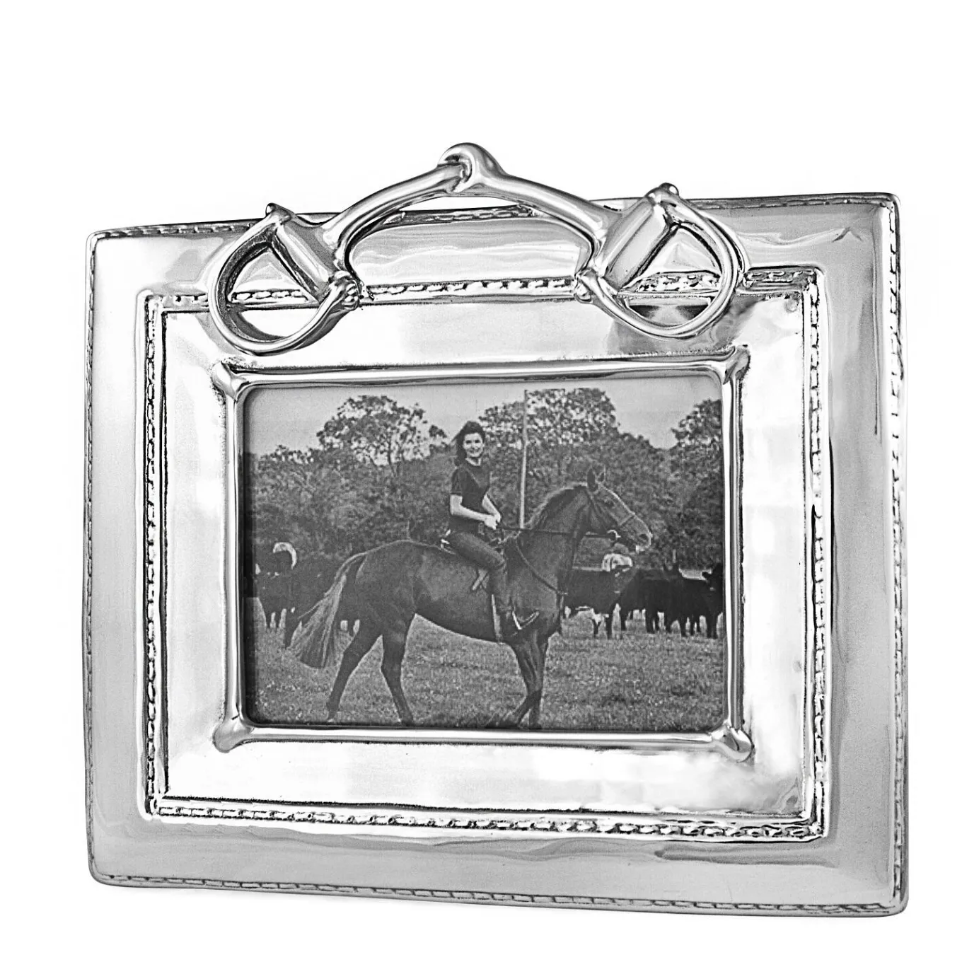 FRAME Western Equestrian Snaffle Bit 5 x 7 Frame