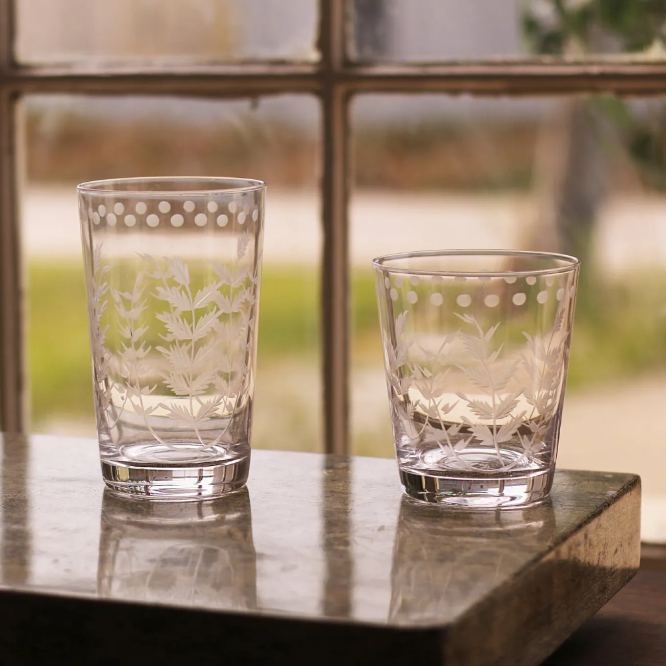 GLASS Fern with Dots Double Old Fashioned Set of 4 (Clear)