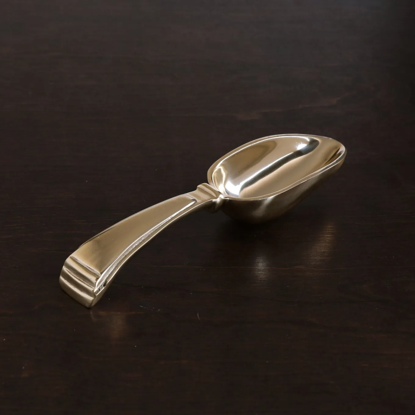 SIERRA MODERN Alejandra Ice Scoop (Gold)