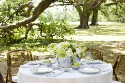 SOHO Large Ice Bucket with Handles