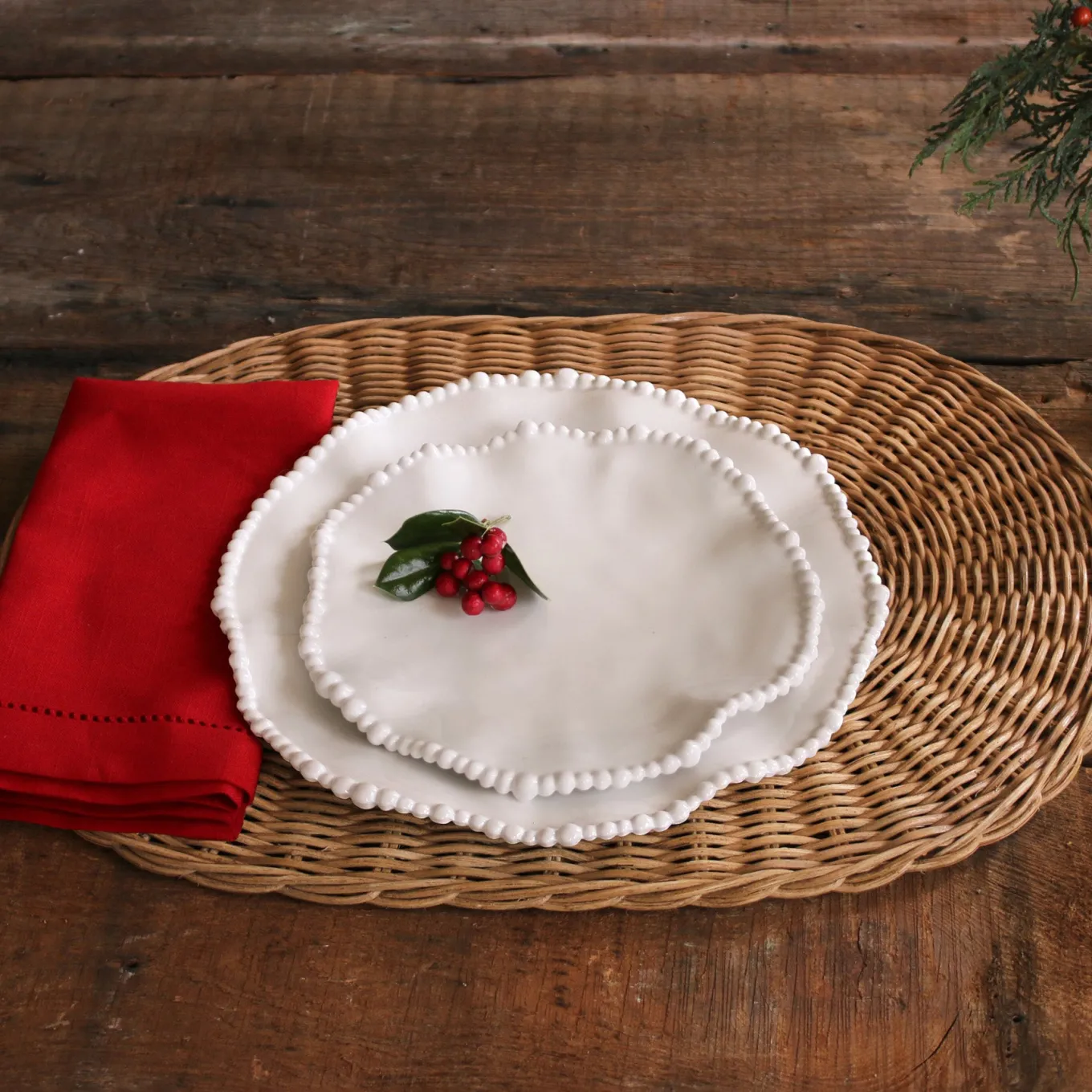 VIDA Alegria 9" Salad Plate Set of 4 (White)